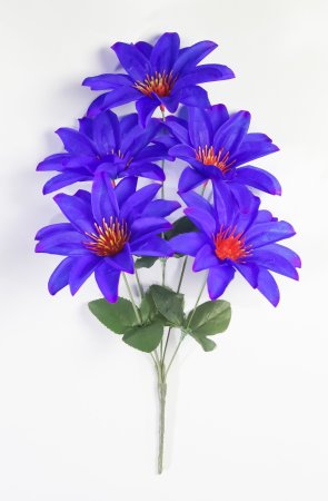 Астра "Лебедь" 5 цветков