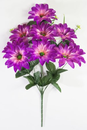 Астра "Жилка крупная" 9 цветков