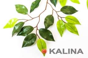 картинка Лист фикуса 3 ветки (атлас) от магазина KALINA
