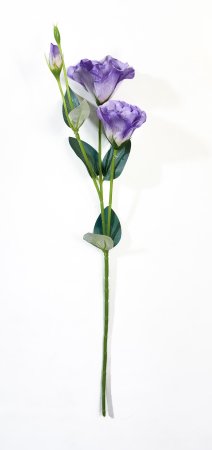 Эустома сиреневая