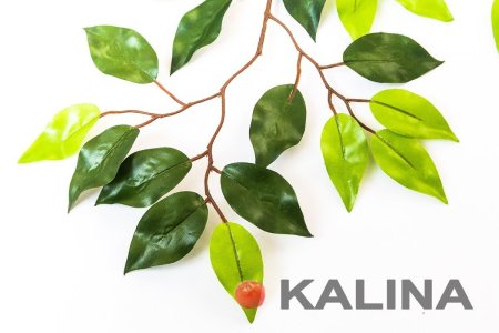 картинка Лист фикуса 3 ветки (атлас) от магазина KALINA