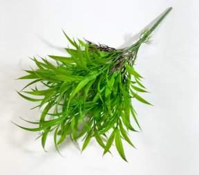 Бамбук с корешками