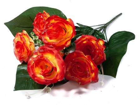 ef747bf640a2548829b845f647cdc796