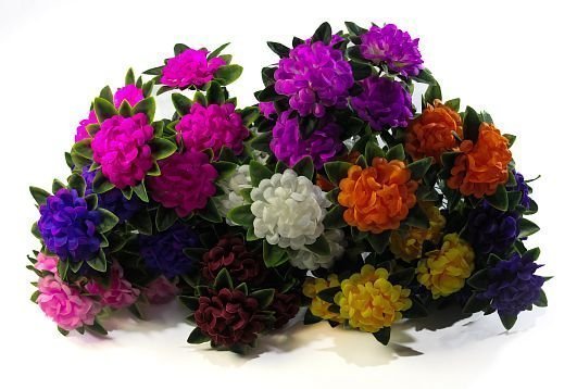 Шафран "Этюд" 6 цветков от магазина KALINA являющийся официальным дистрибьютором в России 