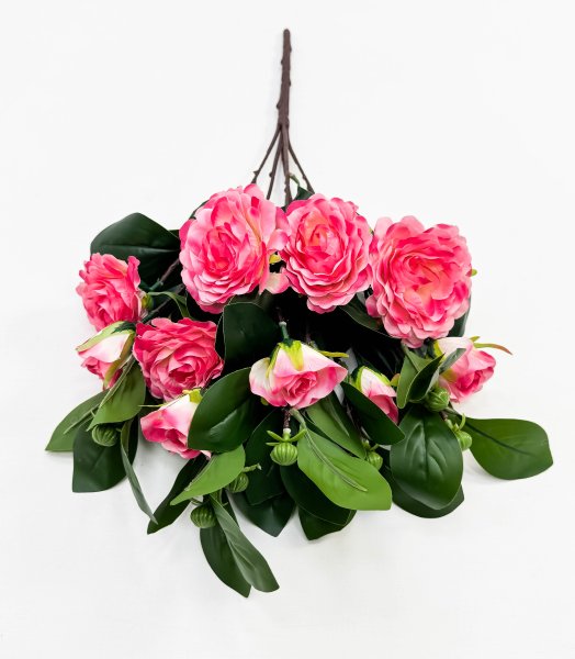 Пион "Слава" 5 цветков 5 бутонов