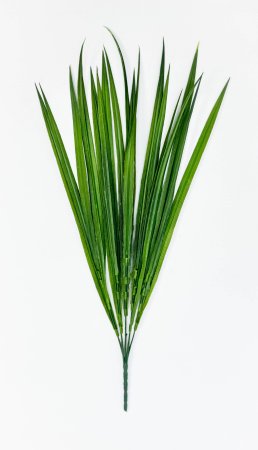 картинка Осока Лонг 5 веток зелёная  от магазина KALINA