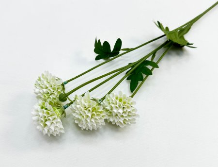 Георгин помпонный белый