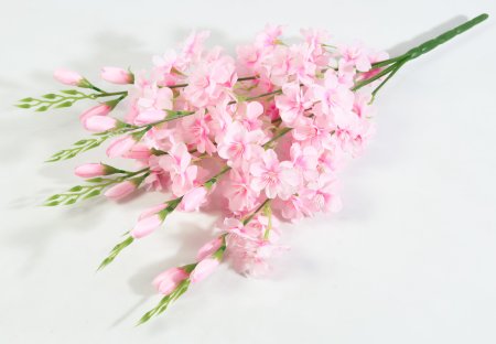 Яблоня "Астарта" 5 веток