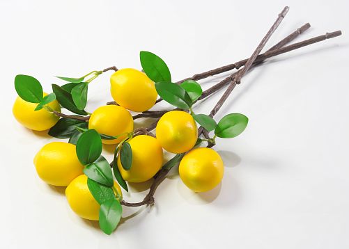 Ветка с плодами лимона от магазина KALINA являющийся официальным дистрибьютором в России 