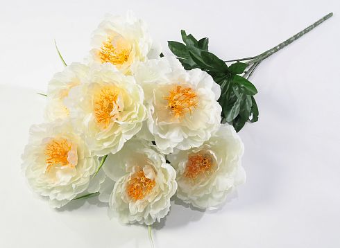 Пион "Натула" 7 цветков от магазина KALINA являющийся официальным дистрибьютором в России 