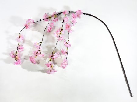 Яблоня свисающая светло-розовая