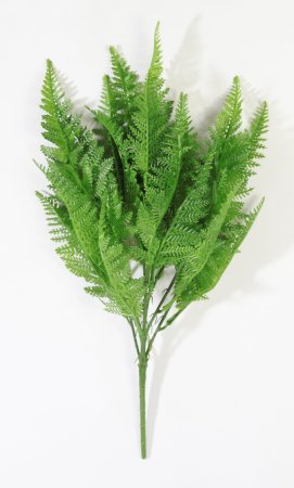 картинка Букет даваллия зеленая от магазина KALINA