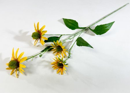 Эхинацея желтая