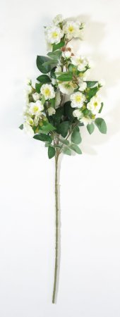 Ветка яблони "Гала" белая