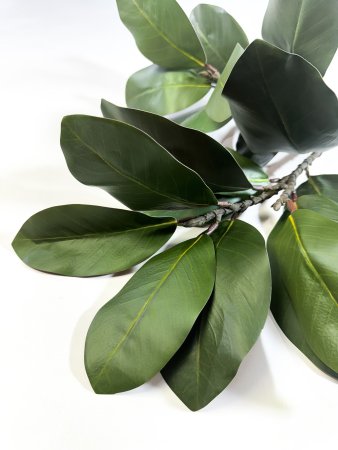 картинка Ветка магнолии "Лето" 17 листов от магазина KALINA