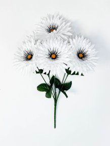 Ромашка "Белогововник" 6 цветков