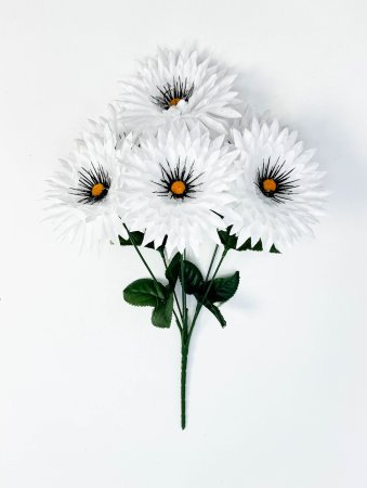 Ромашка "Белогововник" 6 цветков