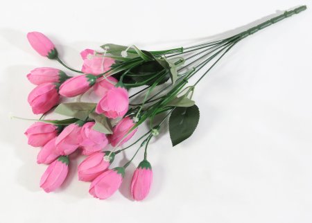 Крокус 18 цветков