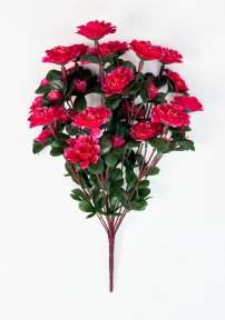 Азалия 24 цветка 12 бутонов