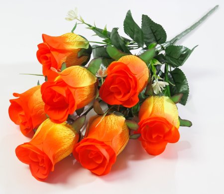 Роза "Катерина" 7 цветков