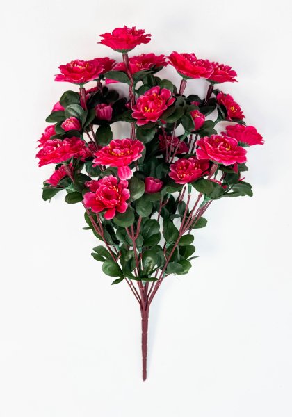 Азалия 24 цветка 12 бутонов