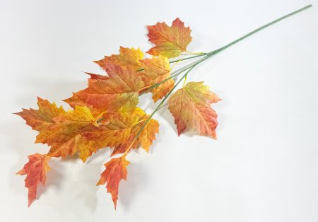 картинка Ветка клена с желтым листом от магазина KALINA