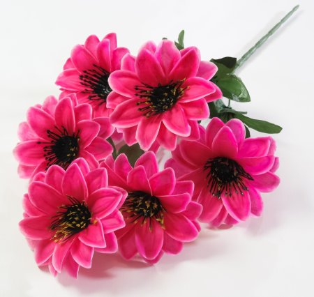 Букет "Пыжик" 6 цветков