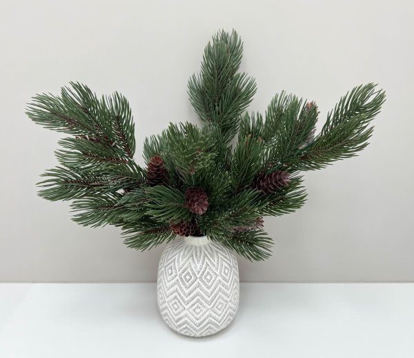 картинка Сосновая ветка "Заповедный лес"  от магазина KALINA