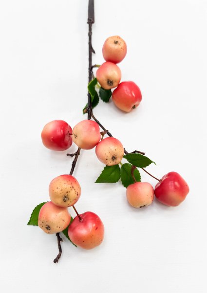 Ветка ранетки 11 плодов розовая