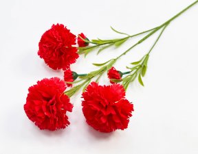 Гвоздика "Вояж" 3 цветка 3 бутона