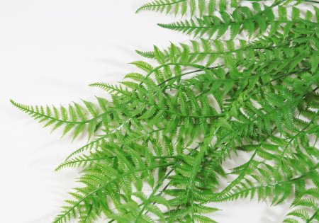 картинка Многорядник ампельный от магазина KALINA