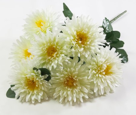 Астра Богиня солнца 7 цветков