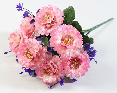 Букет цинний "Чародейка" 7 цветков от магазина KALINA являющийся официальным дистрибьютором в России 