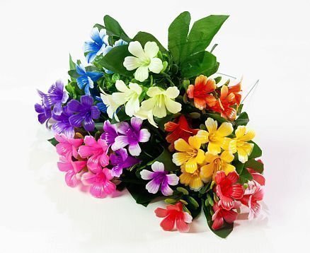 Лилия садилка 5 цветков. от магазина KALINA являющийся официальным дистрибьютором в России 