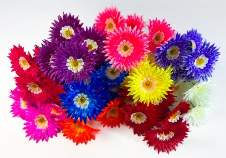 Астра "Ника" 6 цветков