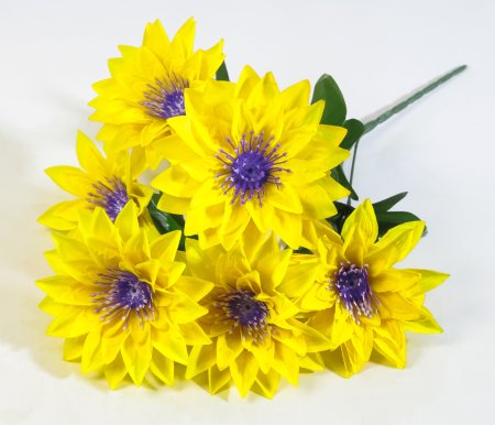 Букет астр Махровая смесь 6 цветков