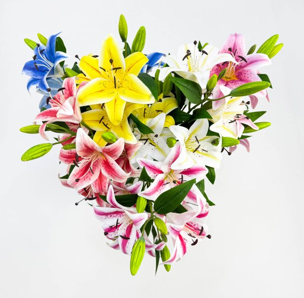 Лилия "Ферреро" 6 цветков