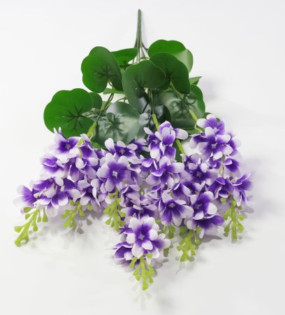 Дельфиниум