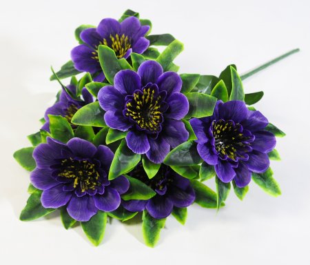 Букет георгина  "Баронесса" 6 веток  6 цветков