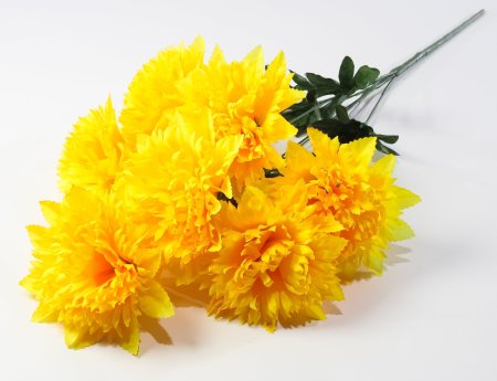 Астра "Женевьева" 7 цветков