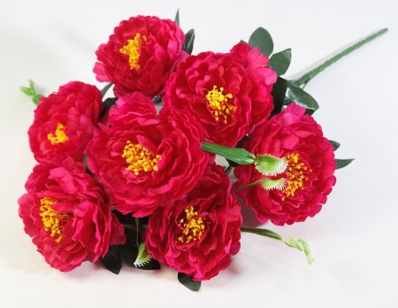 Букет пиона "Сапфир" 7 цветков