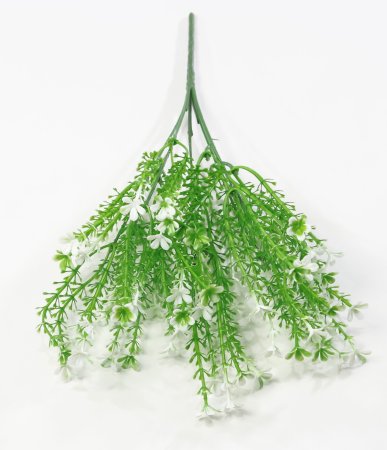 Мелкоцвет Полевой