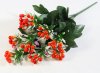 Букет ягод " Изюминка" 10 веток