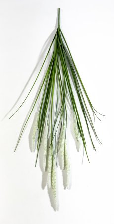 картинка Пеннисетум (Лисий хвост) 90 см 7 веток от магазина KALINA