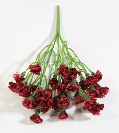 Букет гвоздик Лель бордо