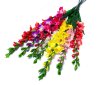 Ветка гладиолуса 9 цветков 8 бутонов