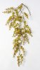 Эвкалипт ампельный "Свити осень"