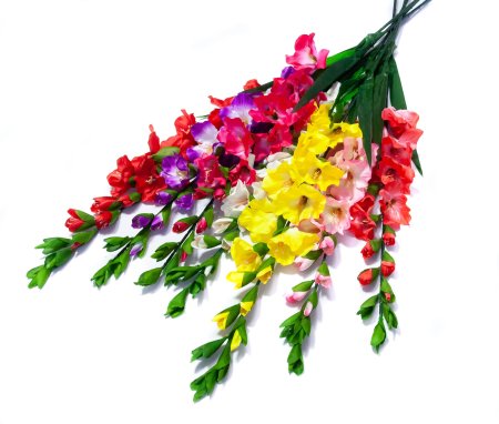 Ветка гладиолуса 9 цветков 8 бутонов