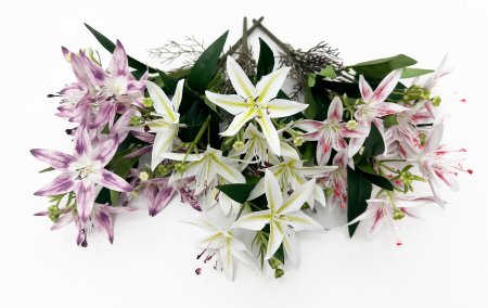 Лилия с корнями (Возможно отгрузить по расцветкам)