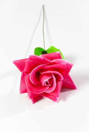 Роза одиночная